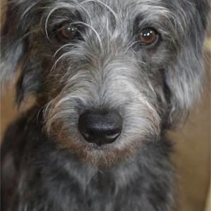 Meet your Posher, Connie